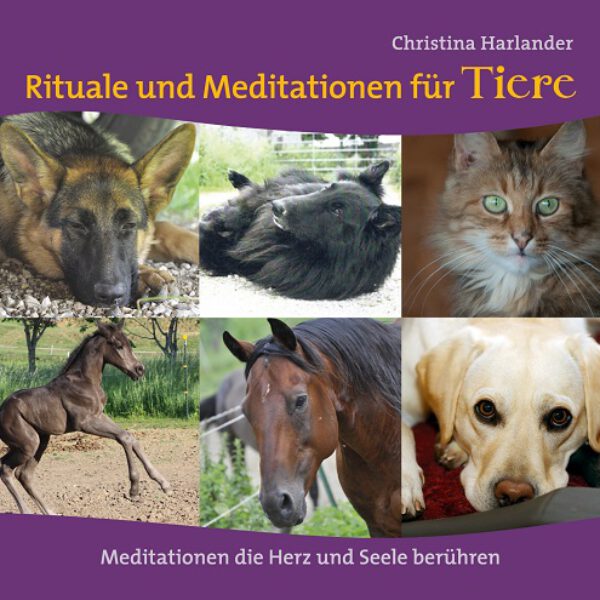 Audio-CD (deutsch) | Rituale und Meditationen für Tiere