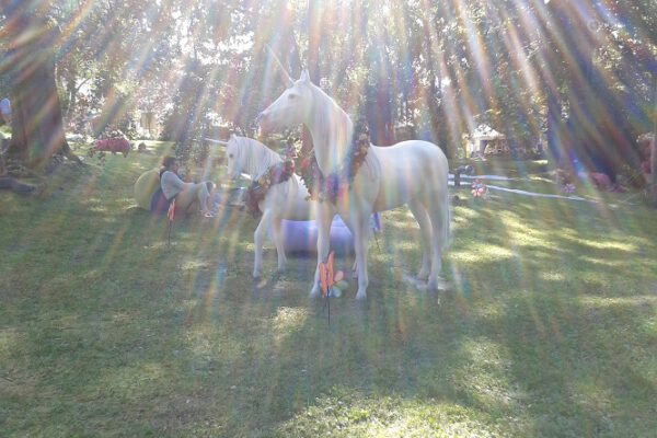 Einhornsegen