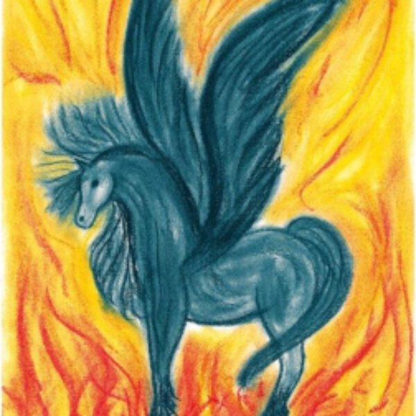 Energiekarte | Schwarzer Pegasus