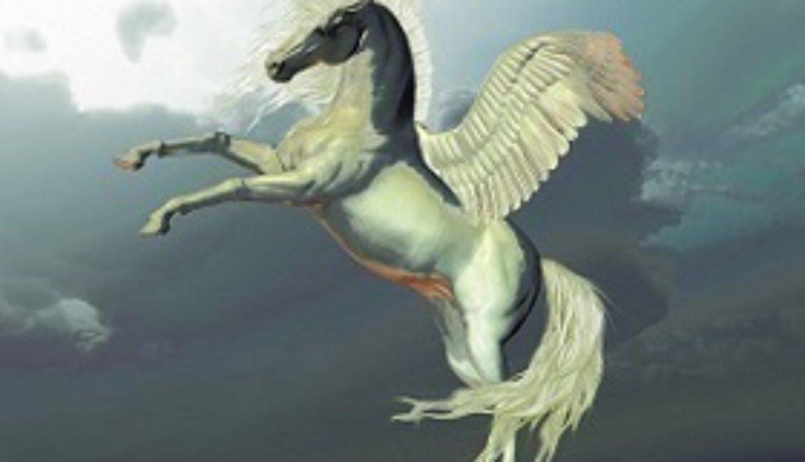pegasus_klein_