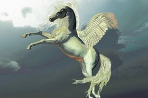 pegasus_klein_