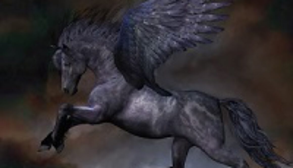 schwarzerPegasus