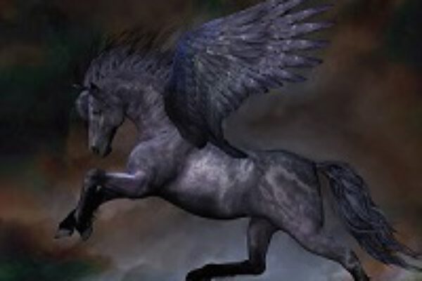 schwarzerPegasus