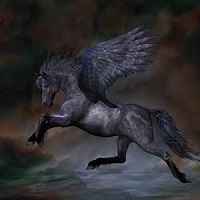 schwarzerPegasus