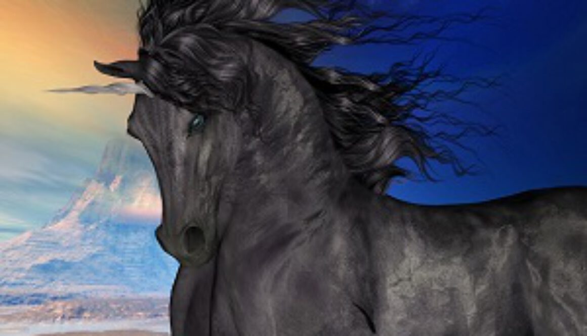 schwarzes Einhorn1