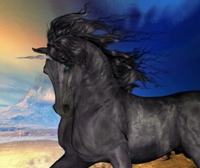 schwarzes Einhorn1