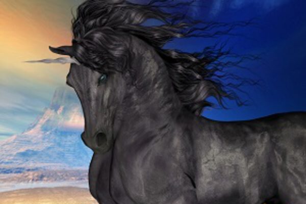 schwarzes Einhorn1