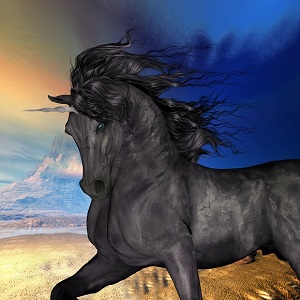 schwarzes Einhorn1
